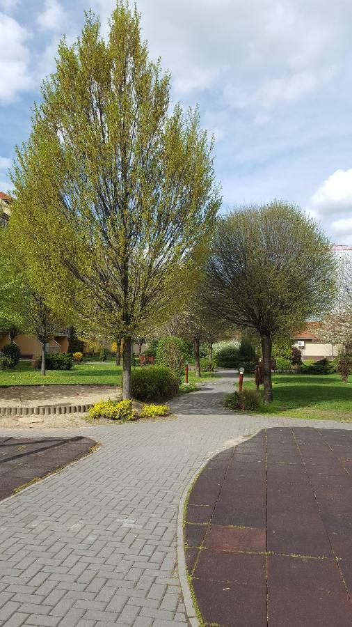 Apartament Liget Apartment, Terrace, Free Parking, Ac *